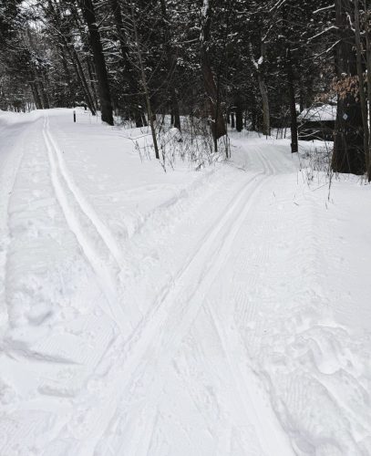 Enough powder to groom at  Kooser