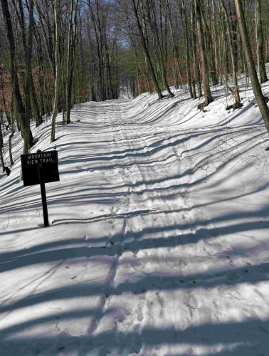 Mountain View Trail