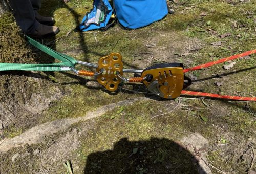 Attaching to Paw rigging plate
